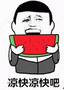 娱乐吃瓜酱网购冷知识,娱乐吃瓜酱带你探索网络购物背后的秘密